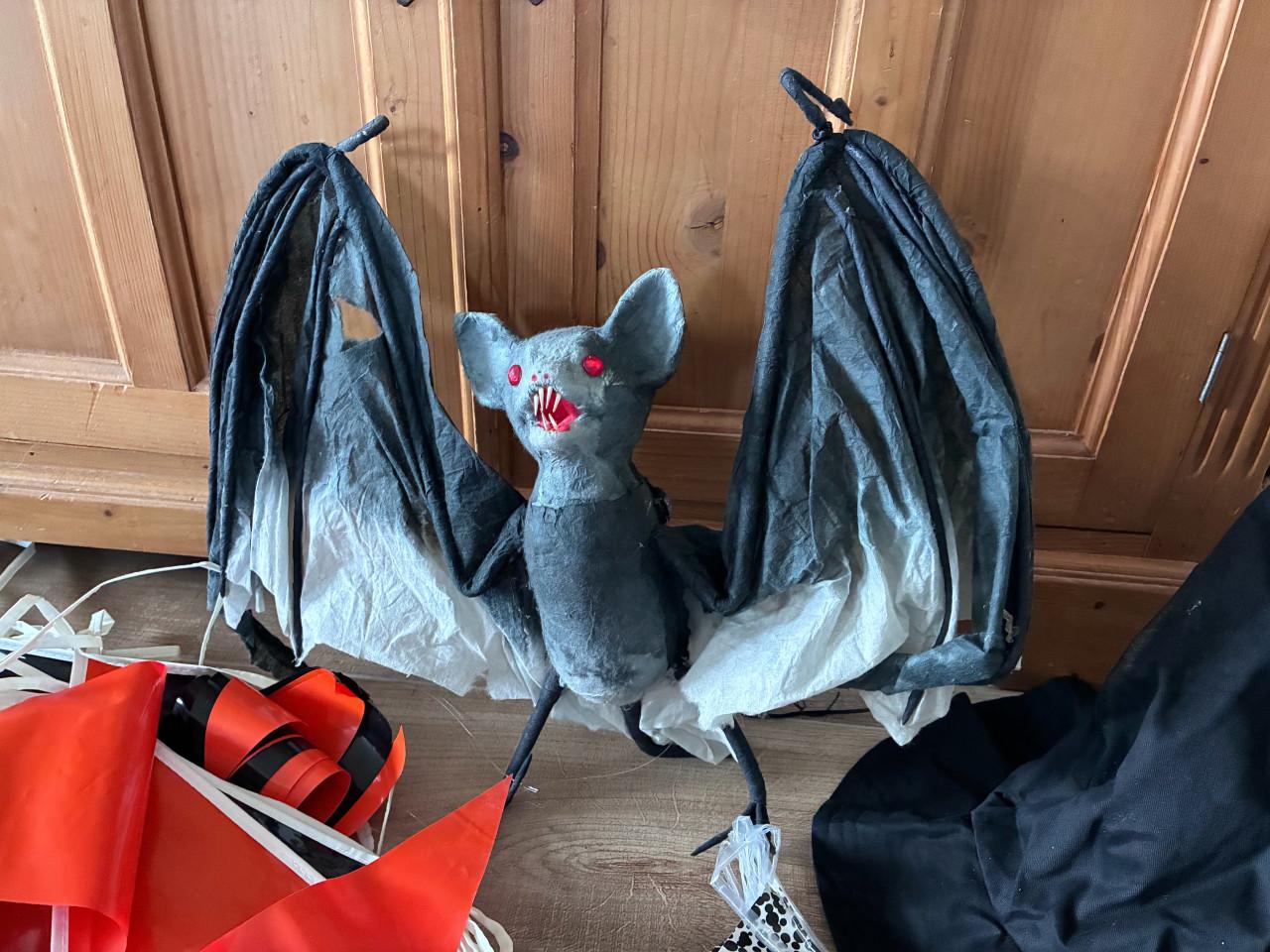 Halloween accessoires