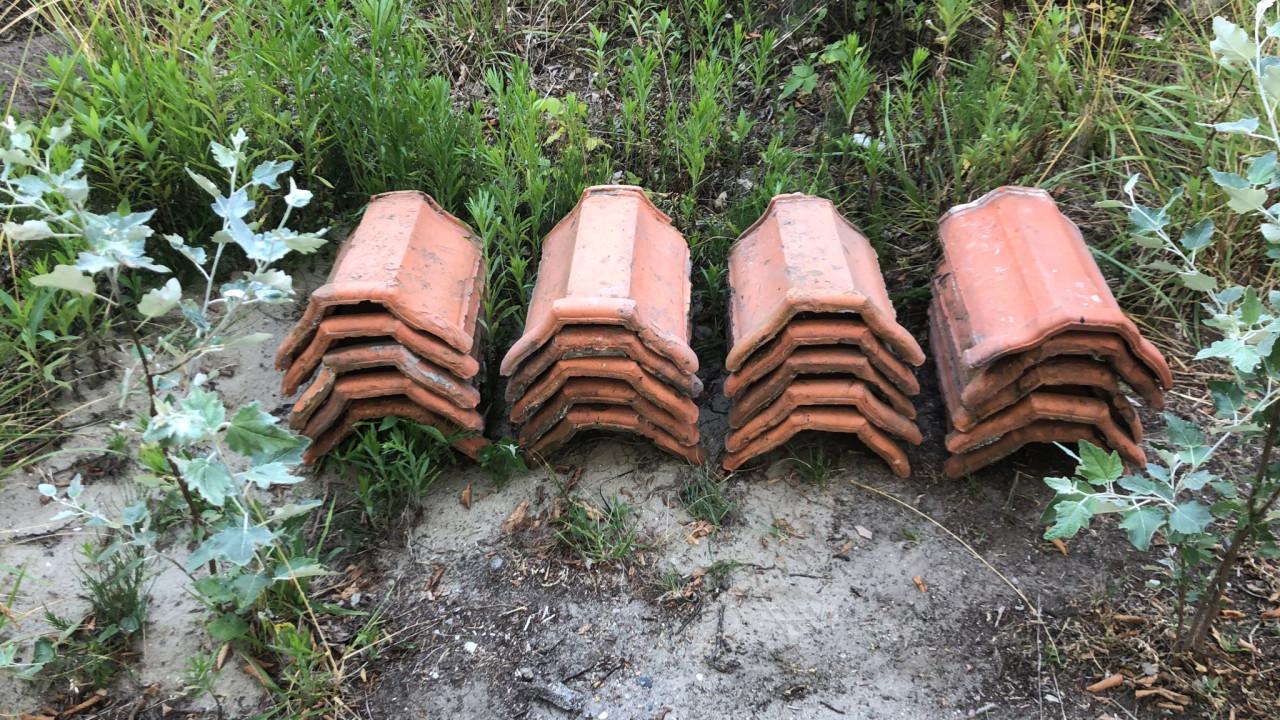 Nokvorsten (diverse types)