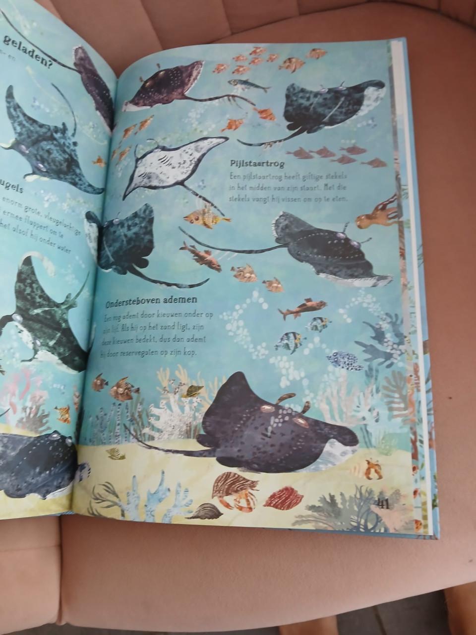 Kinderboeken zeethema