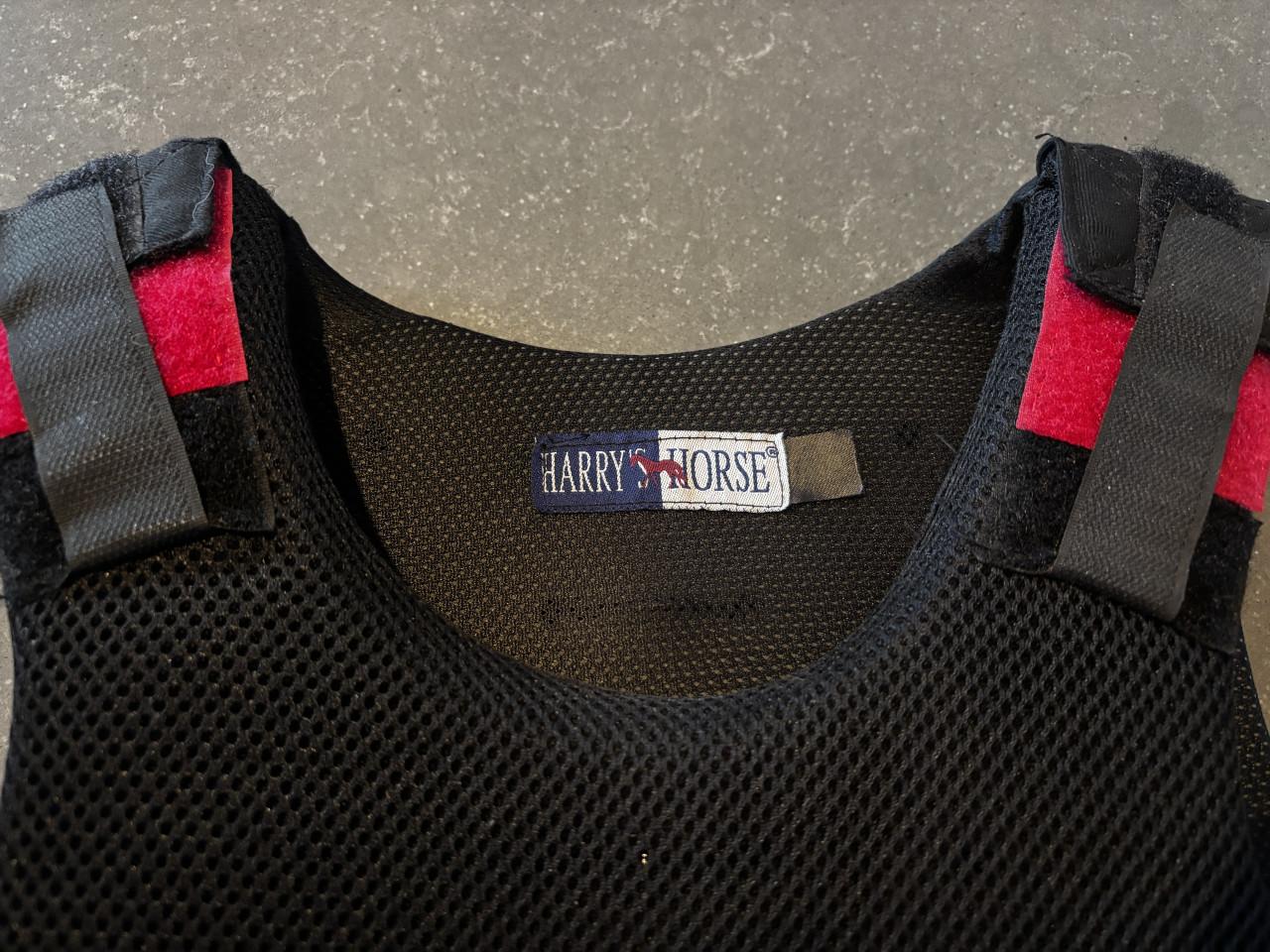 Bodyprotector Harry's Horse
