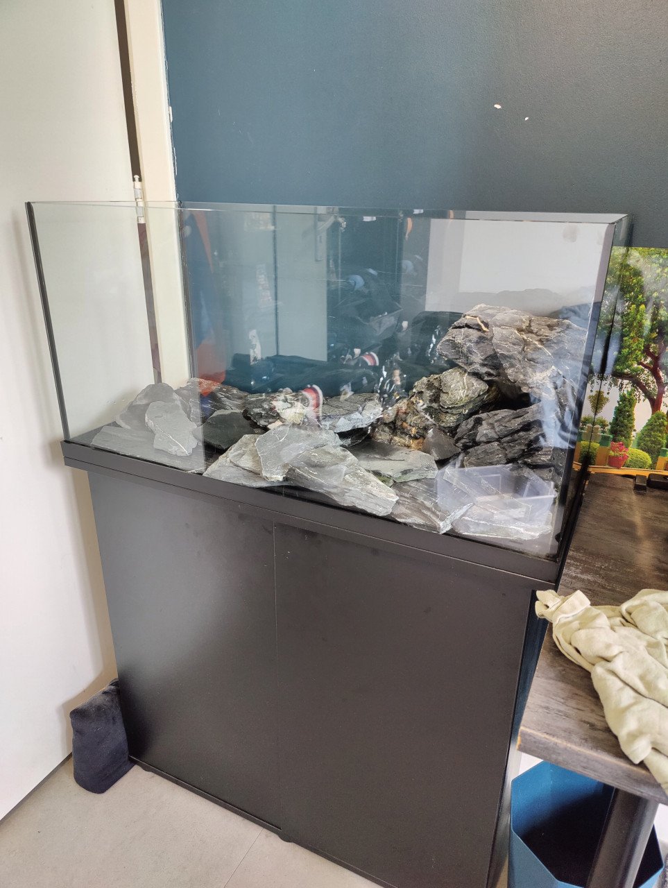 Zeer net aquarium 125L met kast en 2 schildpadden