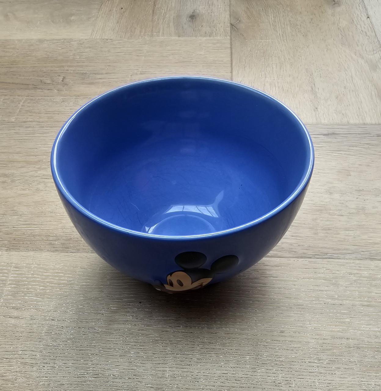 Kom Disneyland parijs Mickey Mouse