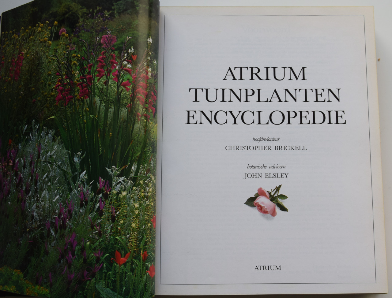 Atrium tuinplantenencyclopedie.