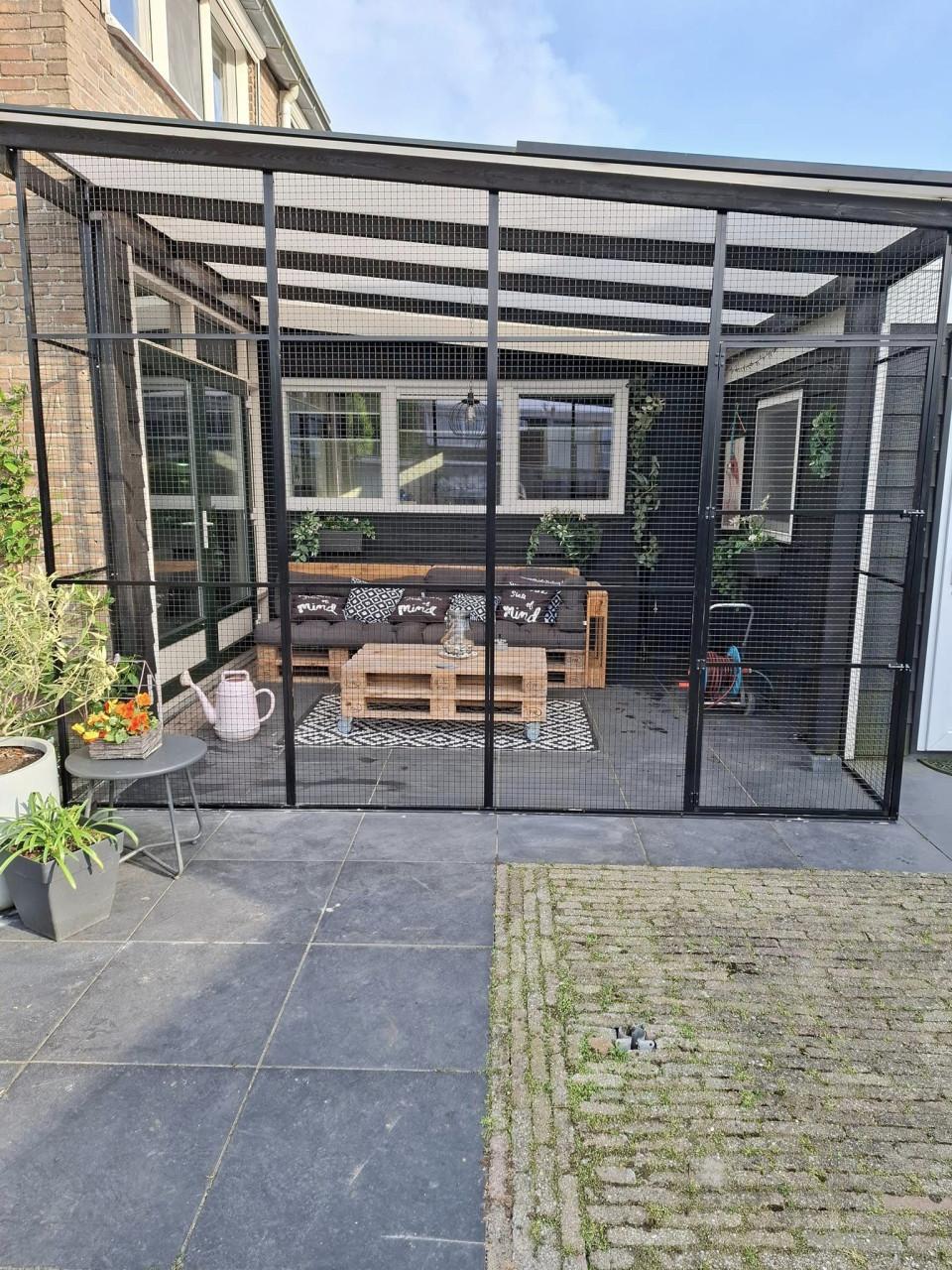 Kattenrennen/verblijven..........