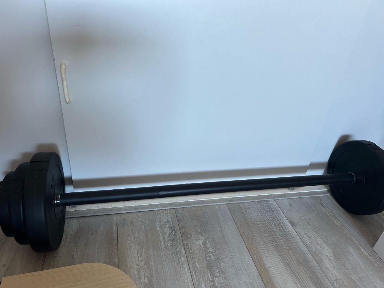 Halter stang met gewichten