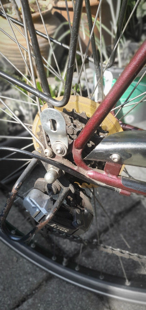 Dames en heren fiets van Union met 21 versnellingen