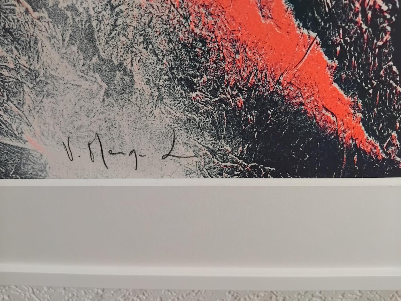 Vincent Mengin-Lecreulx : evolution