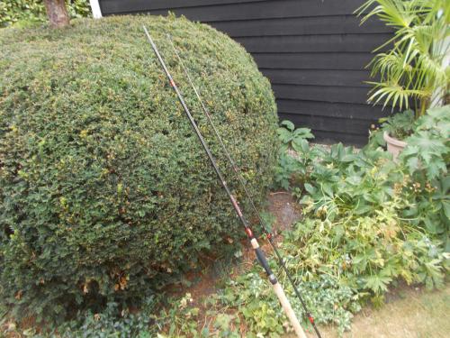 FENWICK SEAHAWK Carbon zeebaars lengte 300 cm w.g. 80-150 gram