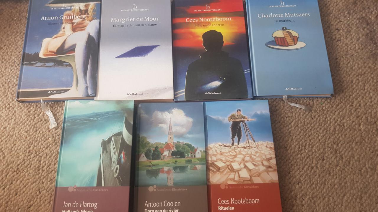 Partij Nederlandse romans