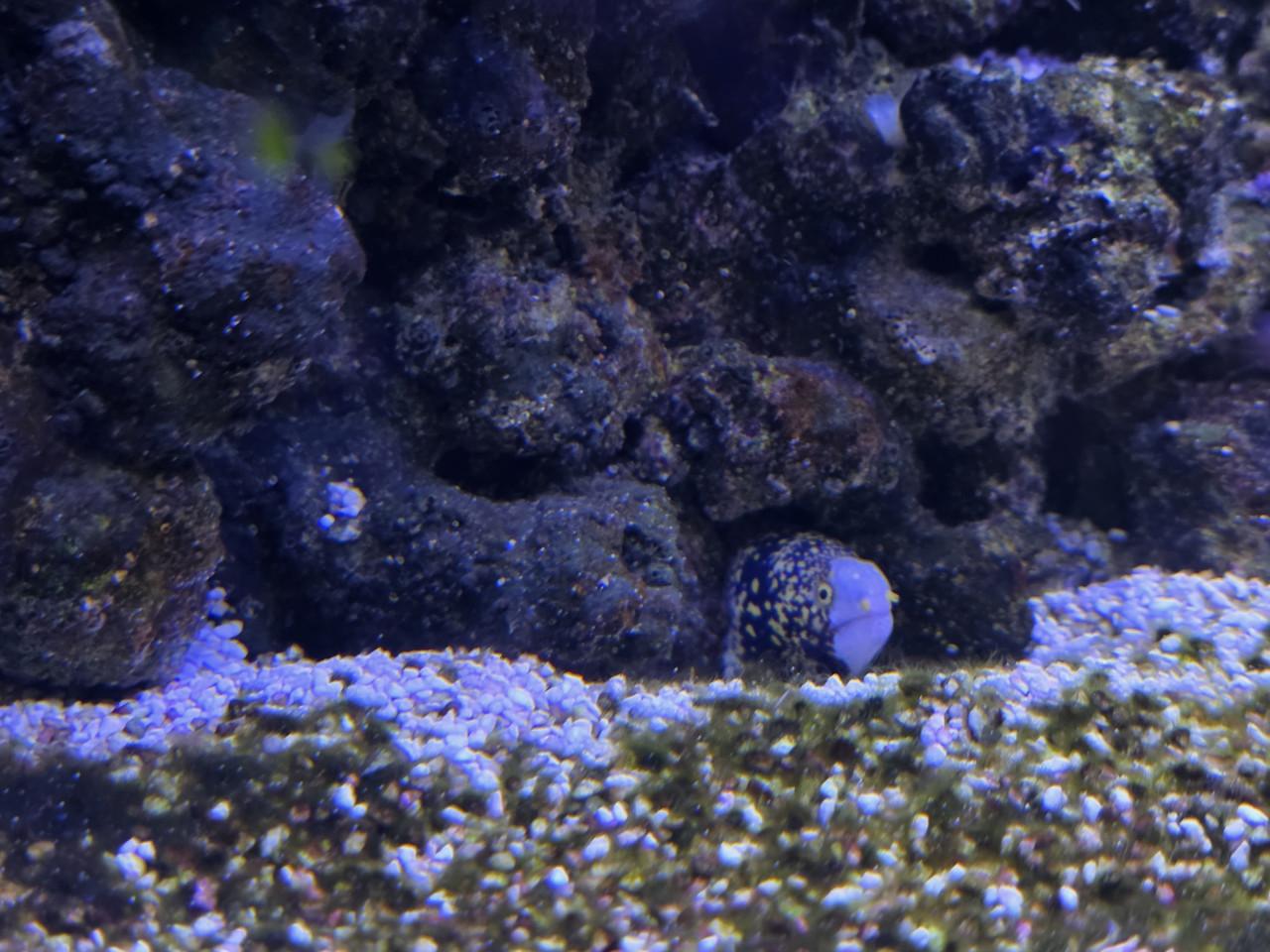 Mooi Zeewateraquarium