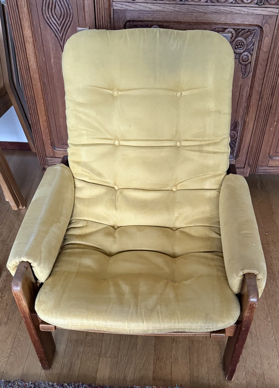 Vintage Pastoe fauteuil