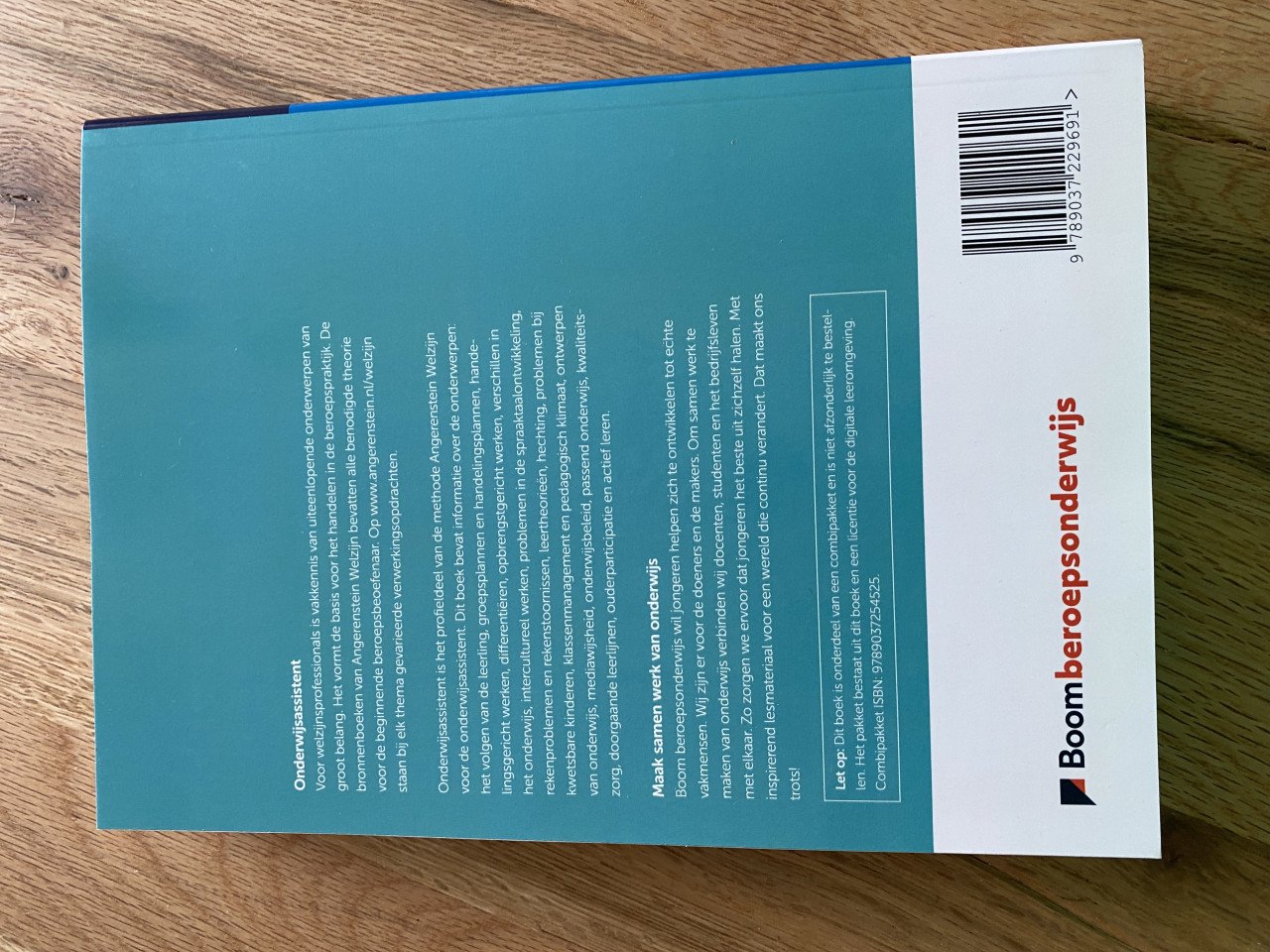 Onderwijsassistent
