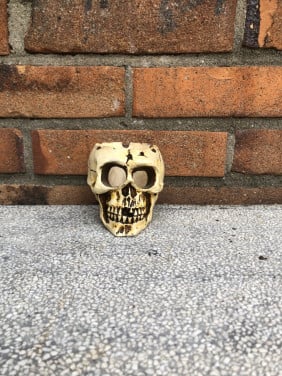 Skeletten kopje.