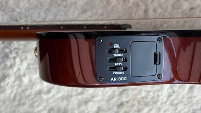 Mooie klassieke elektrische gitaar