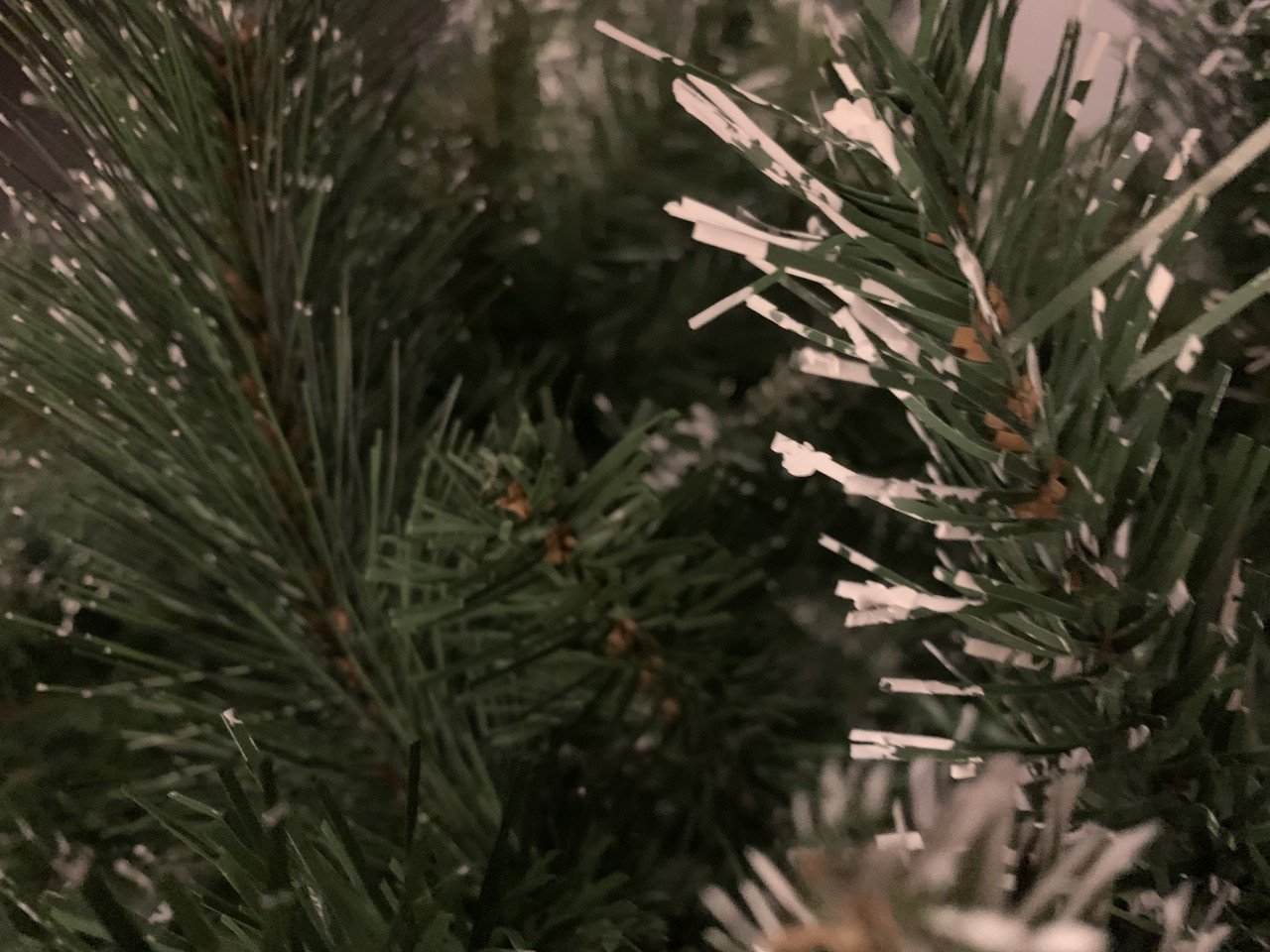 Kerstboom met sneeuweffect. Intratuin.