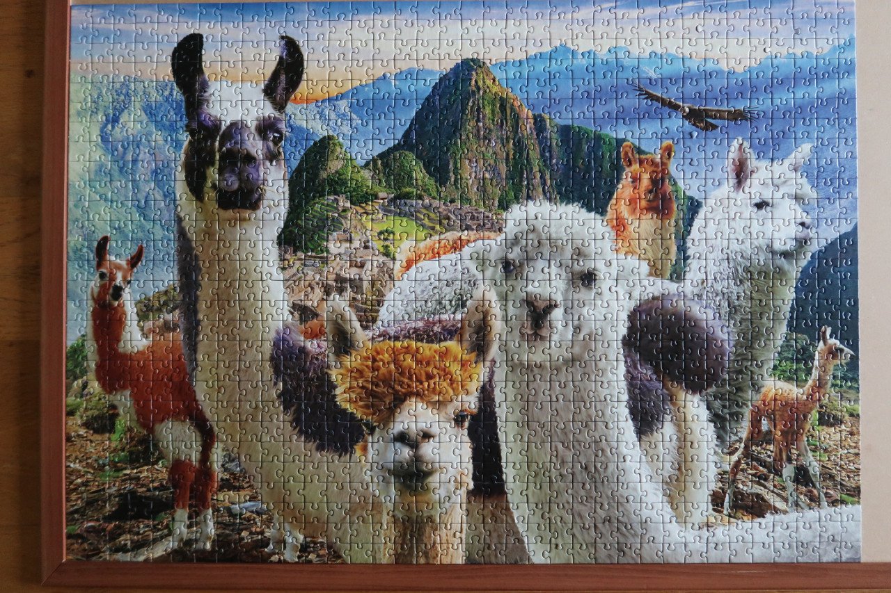 Lama's en Alpaca's bij Machu Picchu puzzel 1000 stukjes voor €5,00