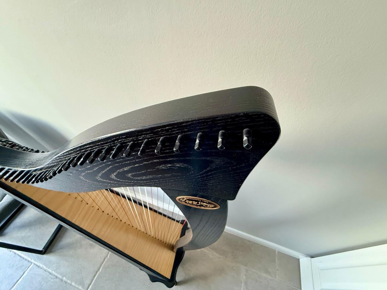 Harp Dusty Strings Ravenna 34