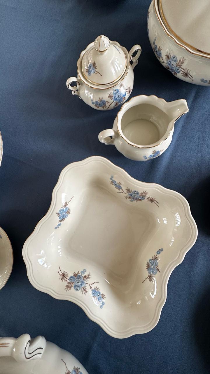 Mitterteich Bavaria servies compleet 5 / 6 personen.