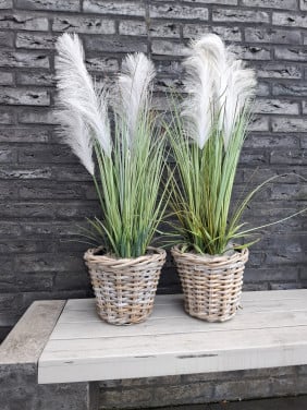 Kunstgras planten