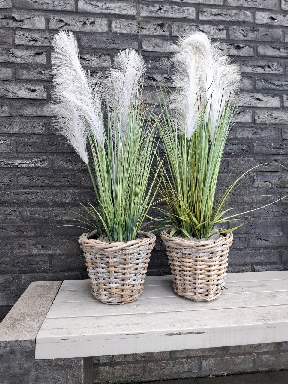 Kunstgras planten