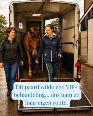 Een VIP paard wil VIP vervoert worden