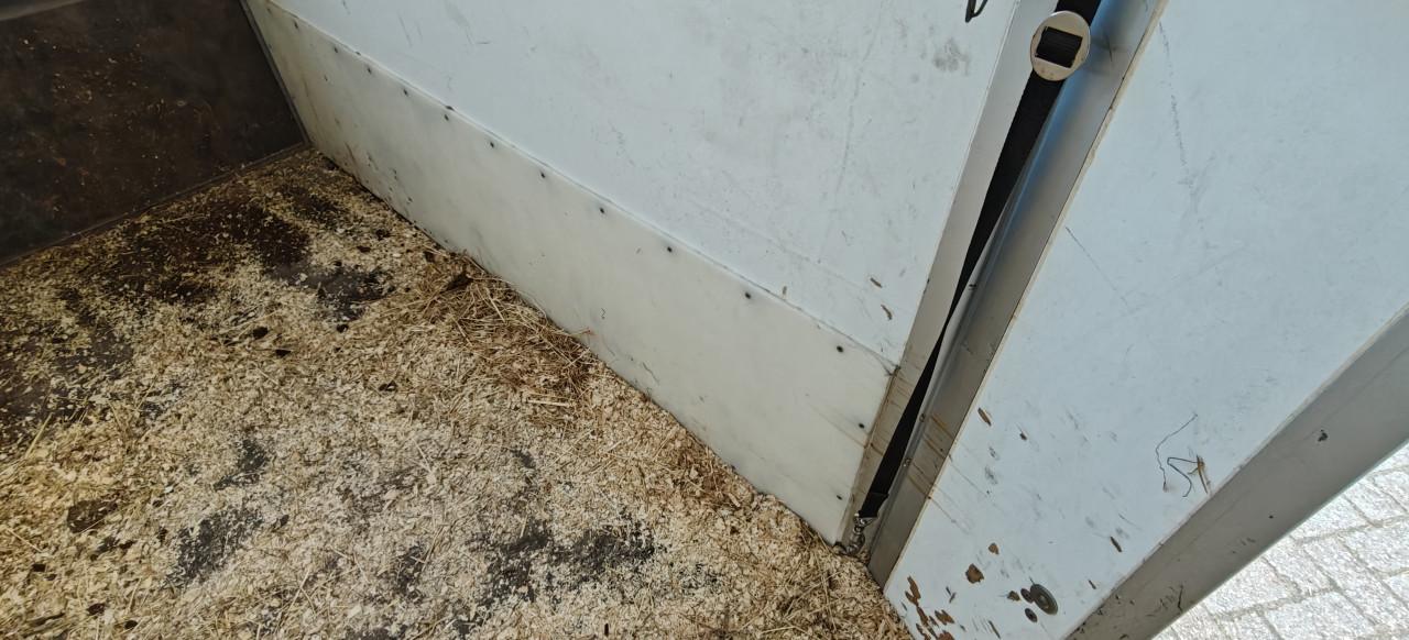 Weijers Traveller 1,5 paardstrailer