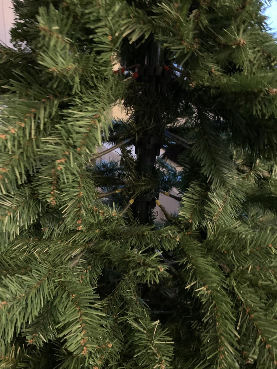 Kerstboom ong 2 meter