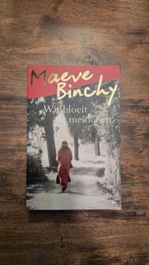 🌿Romans Maeve Binchy