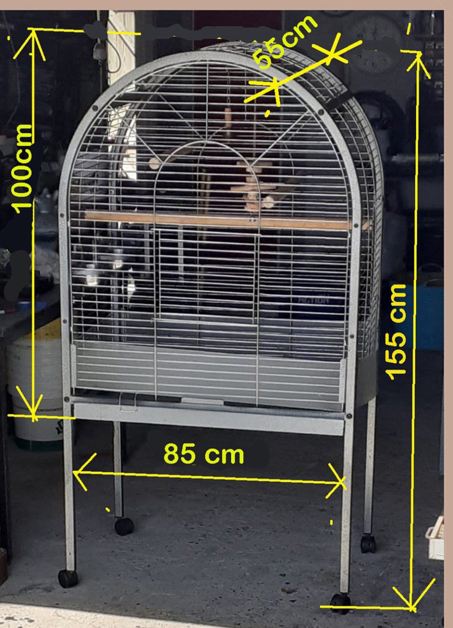 Grote vogelkooi