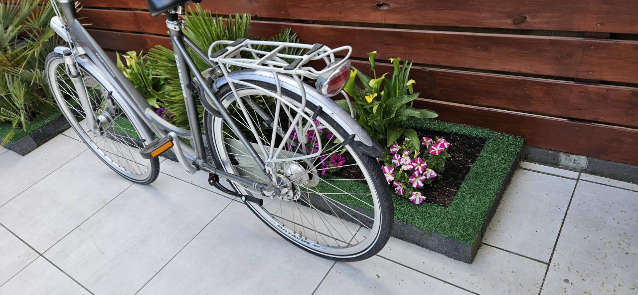 Batavus  Intermezzo damesfiets