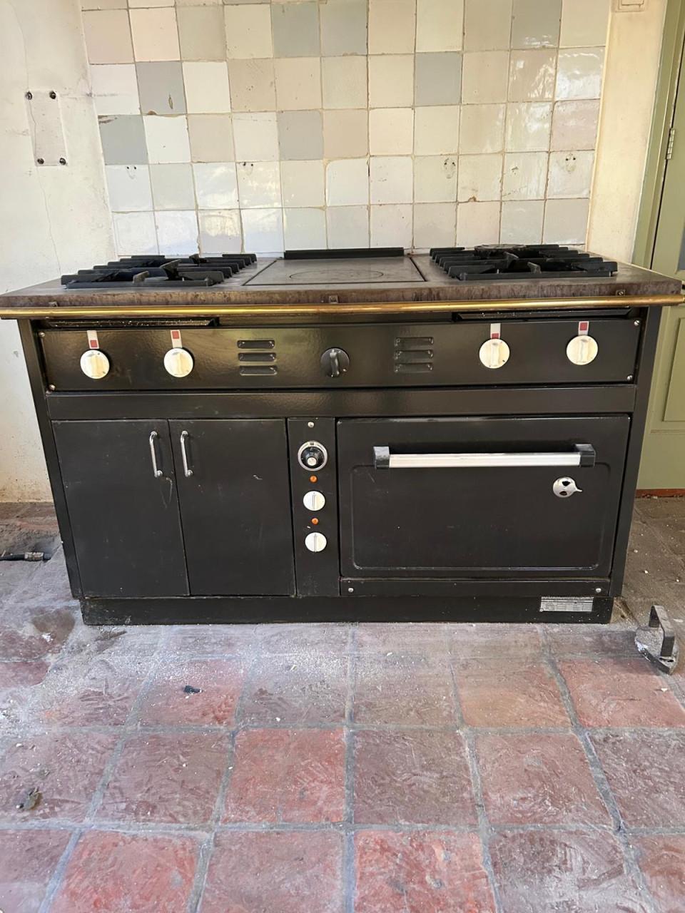 Professioneel gasfornuis