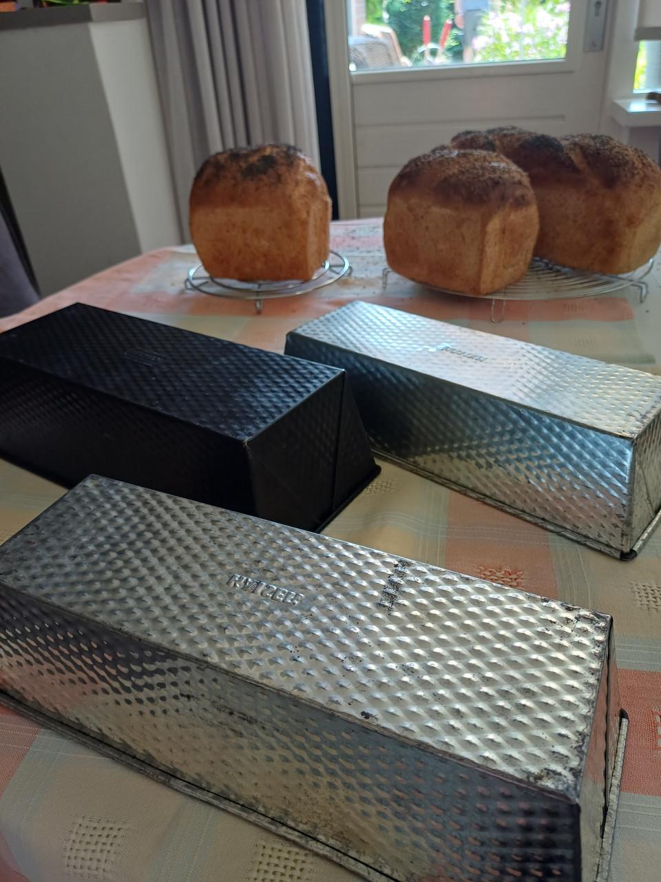 Bakblikken