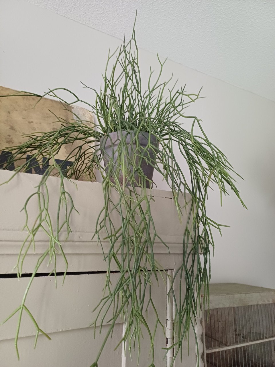 Kunst planten