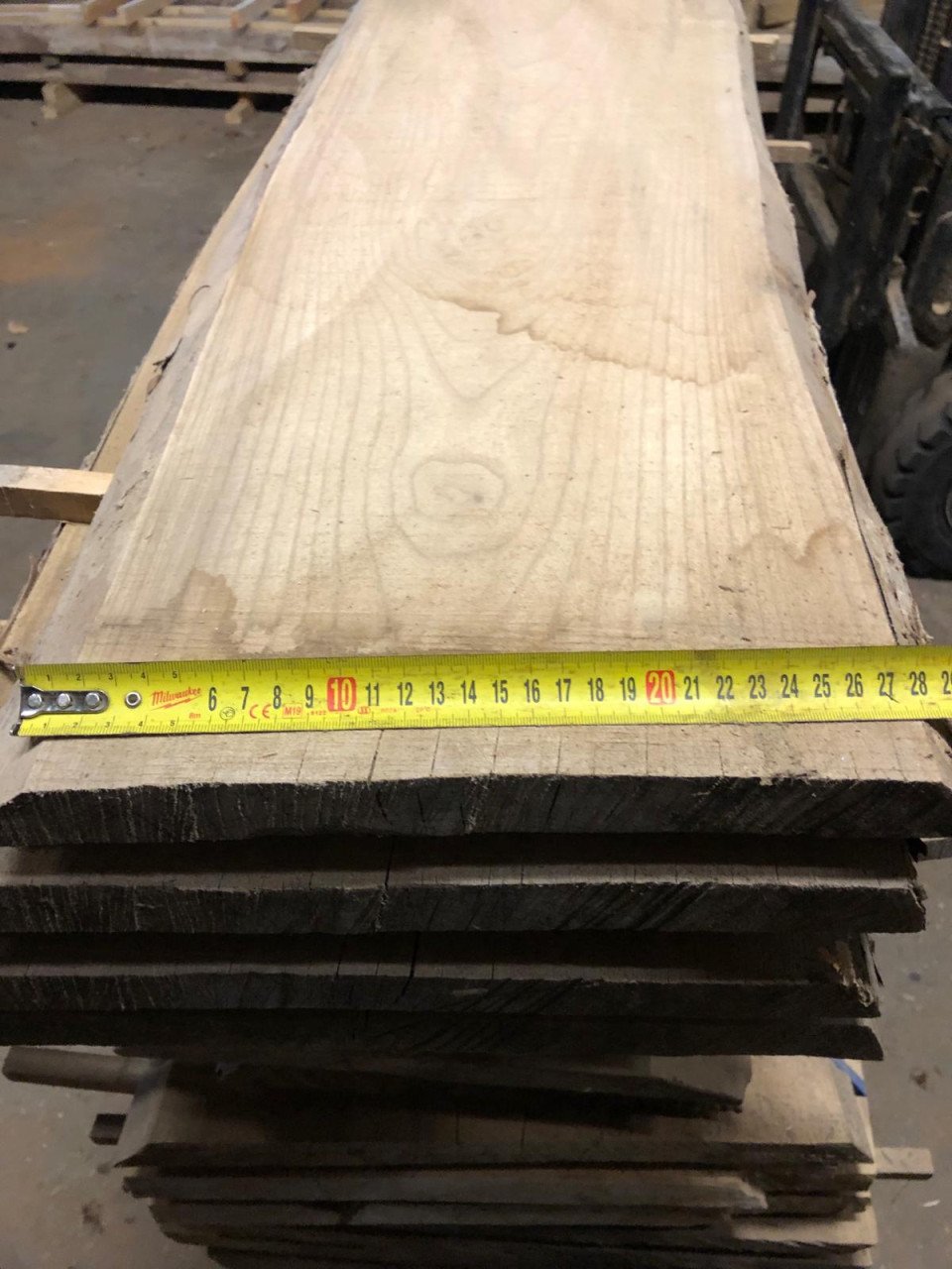 Zeeuwse Iep / Olm stam, hout voor meubels en interieur