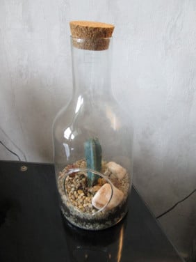 Glazen vaas/bloempot