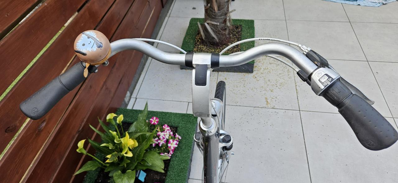 Batavus  Intermezzo damesfiets