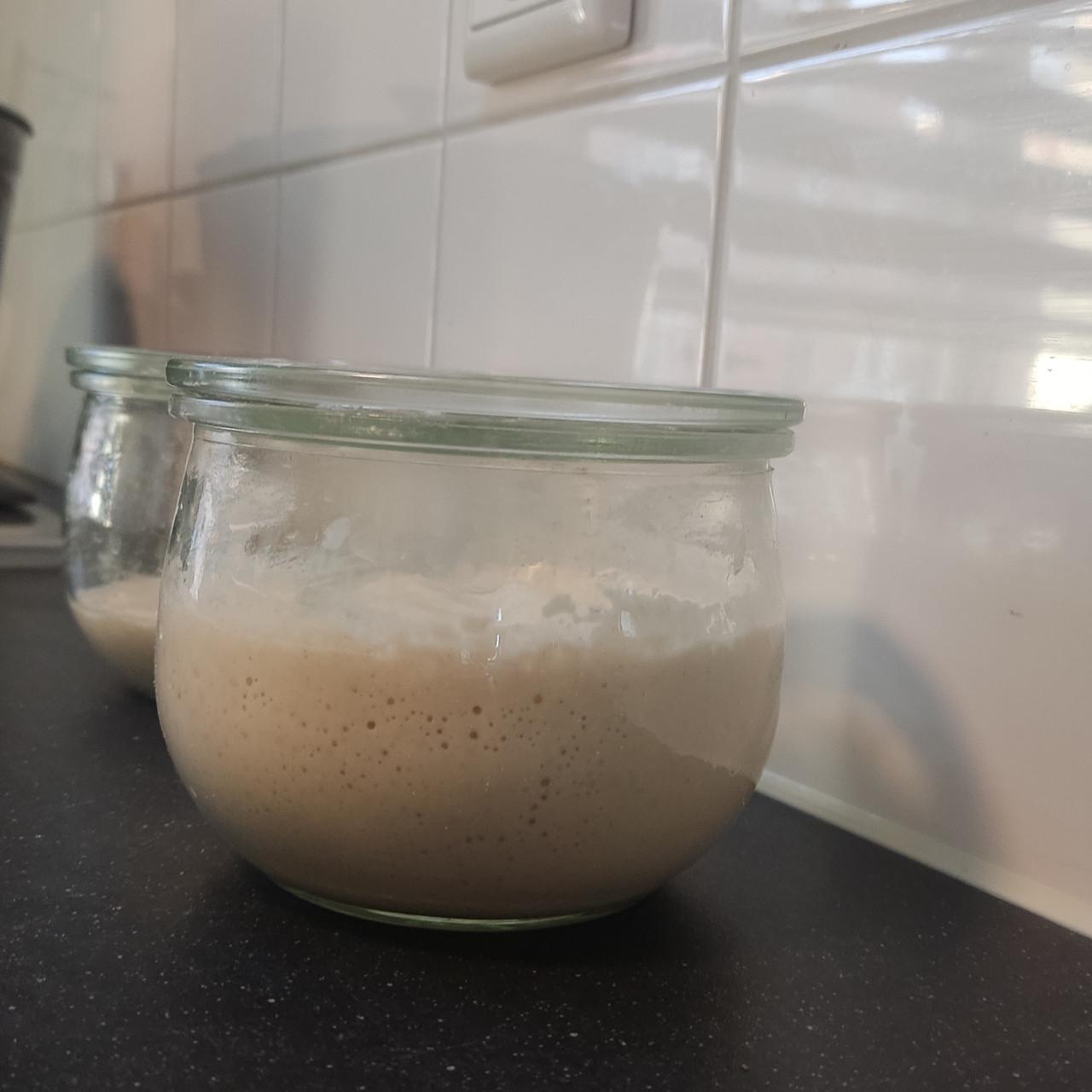 Gedroogde zuurdesemstarter