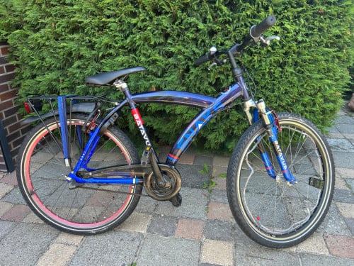 Batavus snake 26inch