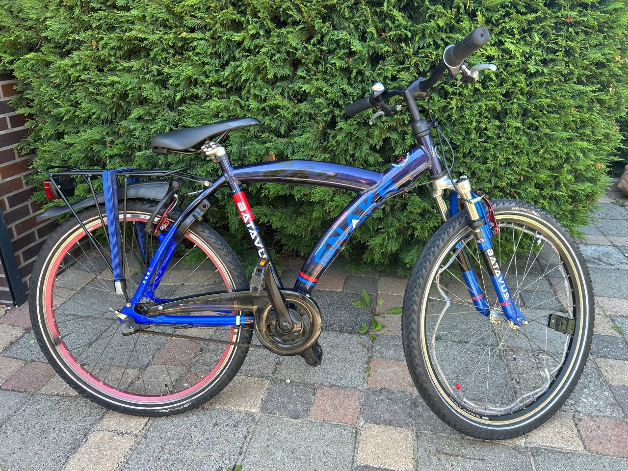 Batavus snake 26inch