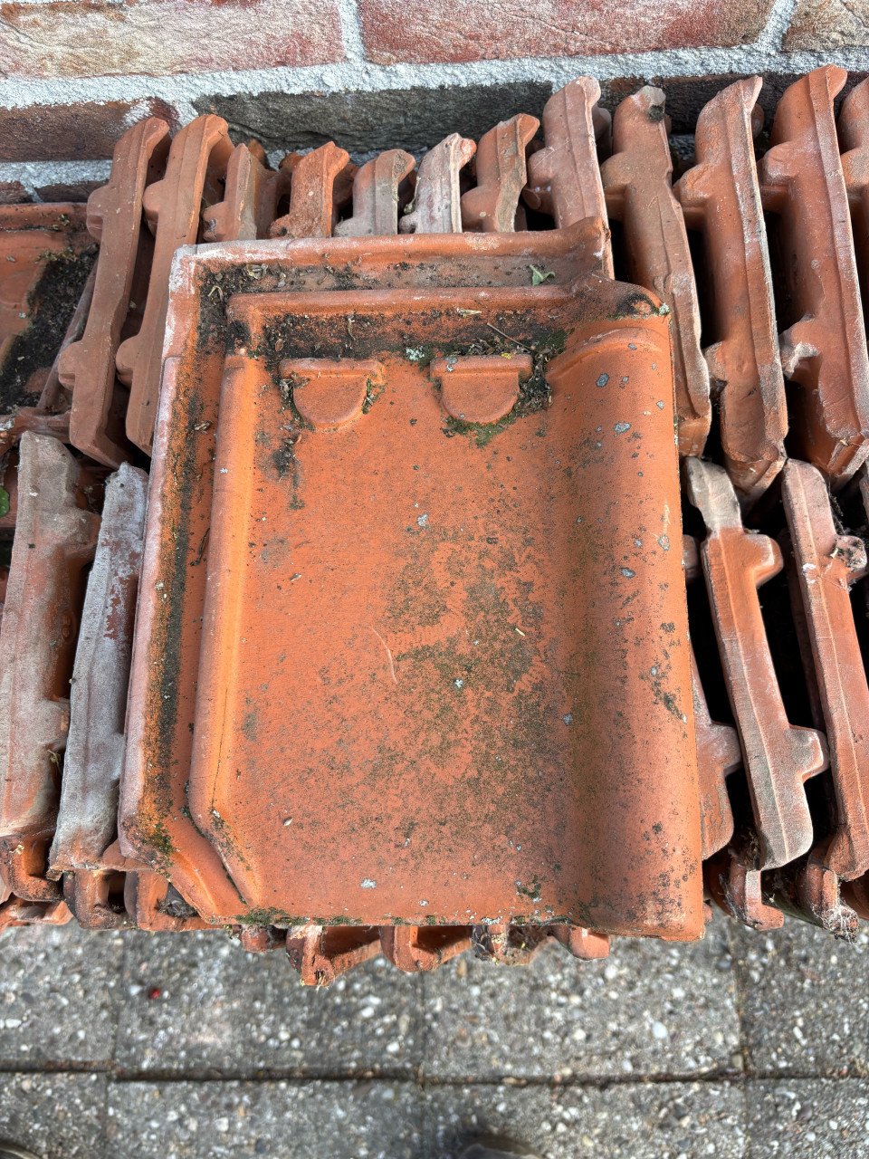 Te koop tuile de nord dakpannen