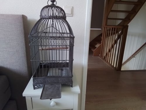 Metalen sierkooi