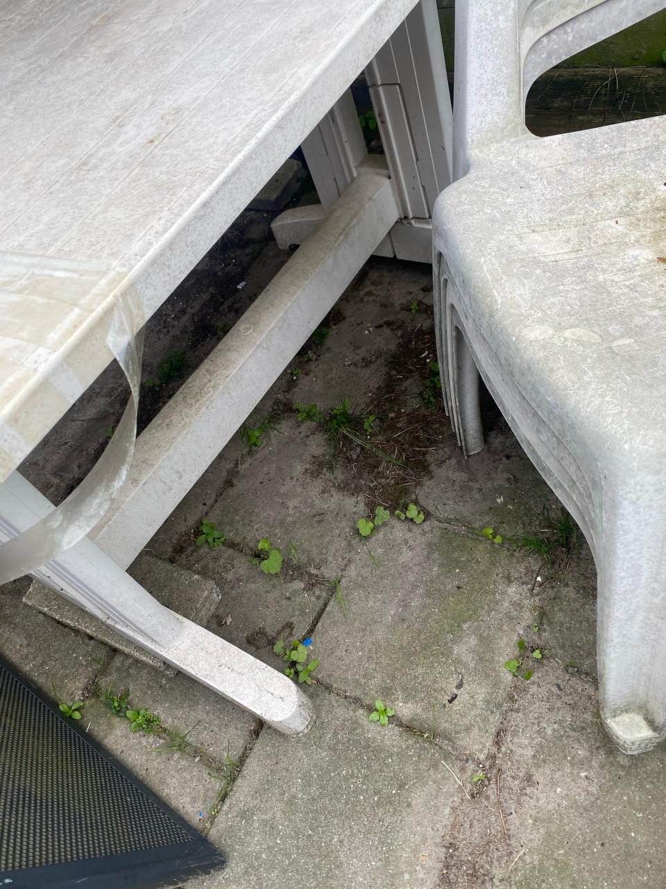 Tuinset wit kunsstof