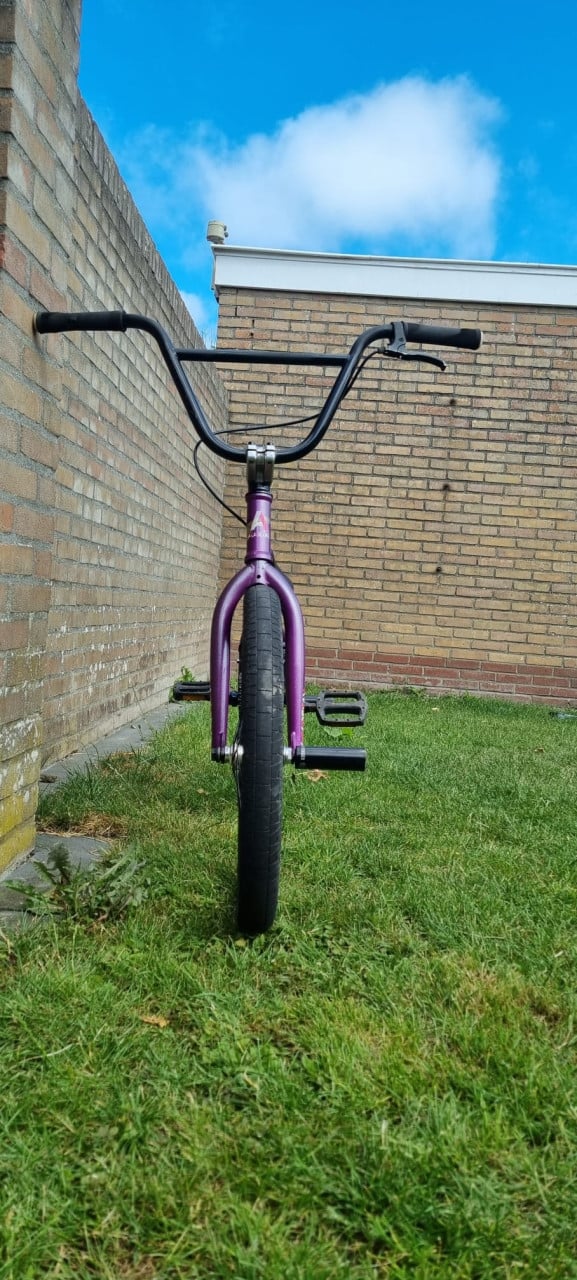 Professionele BMX Academy desire