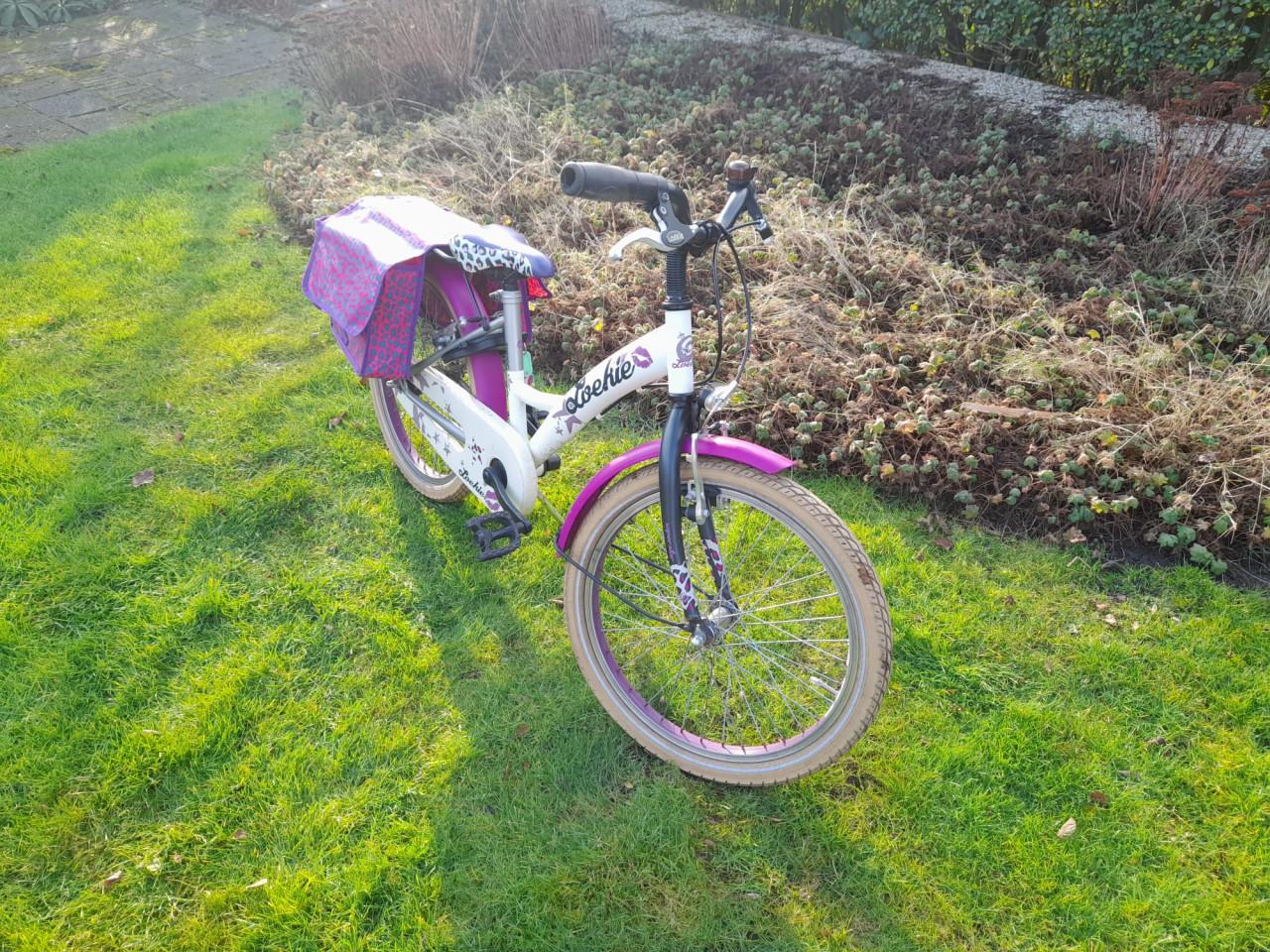 Z.g.a.n. Loekie meisjesfiets met bijpassende fietstassen (20 inch)