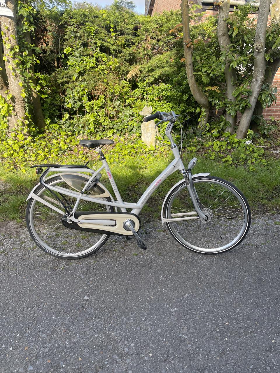 Tekoop Batavus mambo