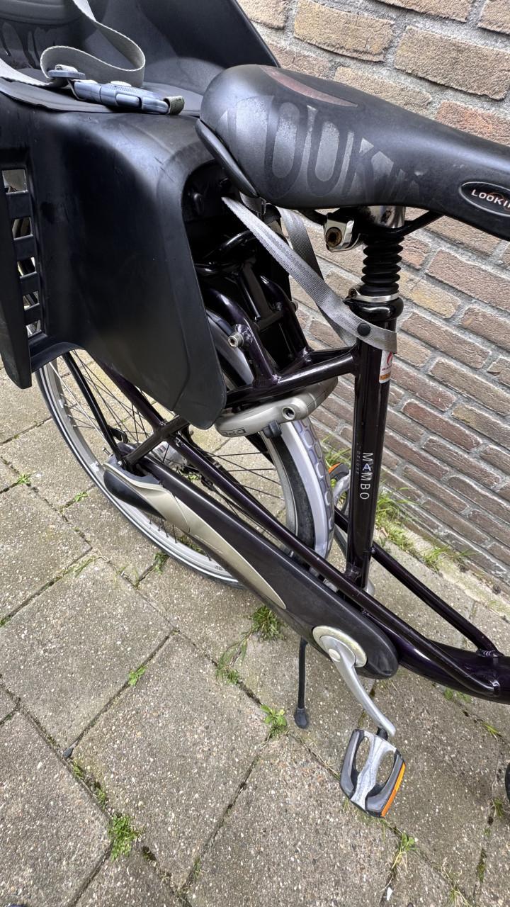 Batavus mambo moederfiets