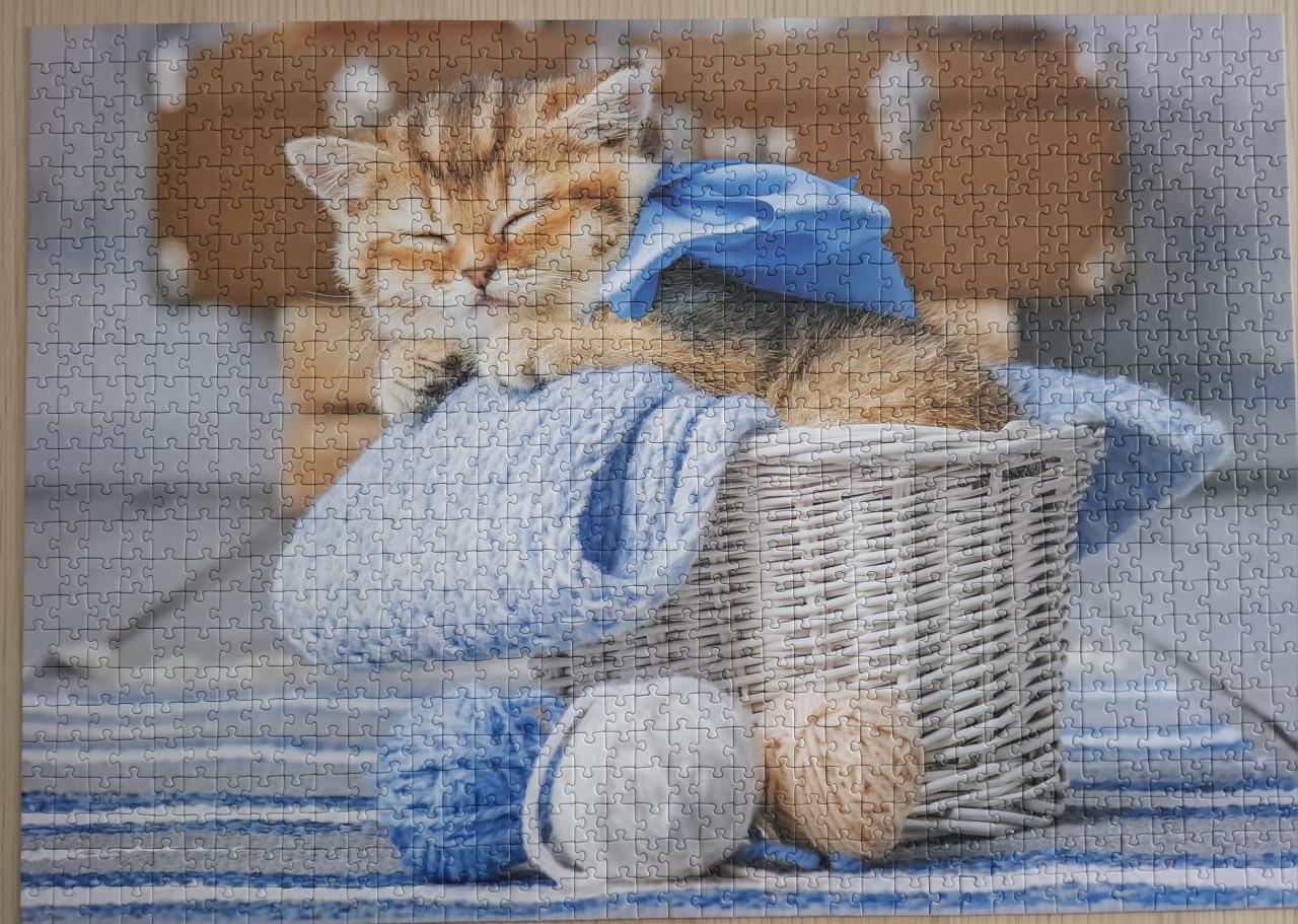 3 kattenpuzzels
