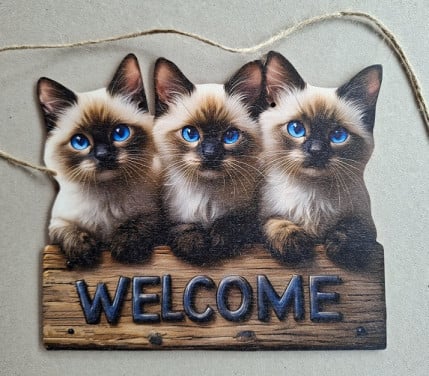 Houten Welcome Bord met Poesjes