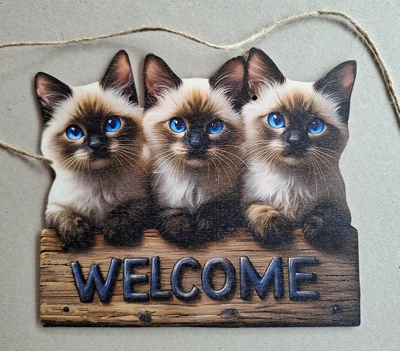 Houten Welcome Bord met Poesjes