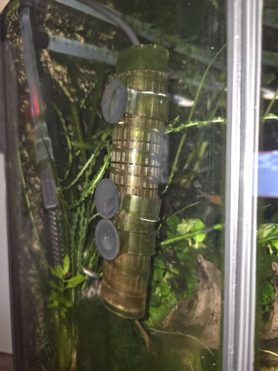 Co2 set Aquarium